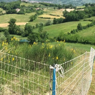 Recinti preambientamento