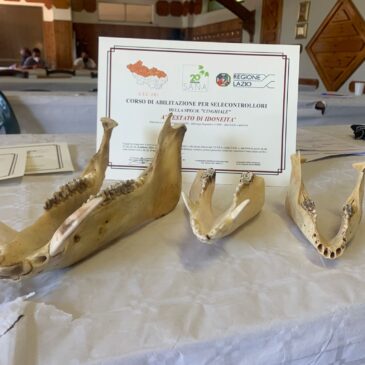 Terminato il corso di formazione per selettori della specie cinghiale