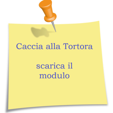 Modulo richiesta autorizzazione al prelievo venatorio della tortora