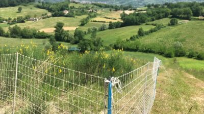 Recinti preambientamento