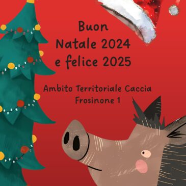 Buone Feste
