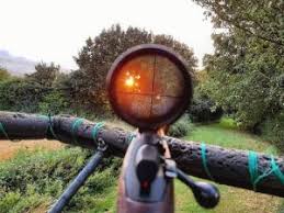 Regole di disciplina e sicurezza per lo svolgimento dell’attività di selezione in orario notturno -art 22 dgr460/2018