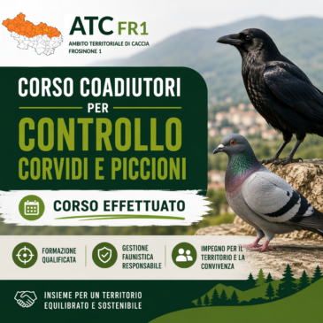 Formazione, cooperazione e tutela del territorio: grande successo per il corso Coadiutori corvidi e piccioni