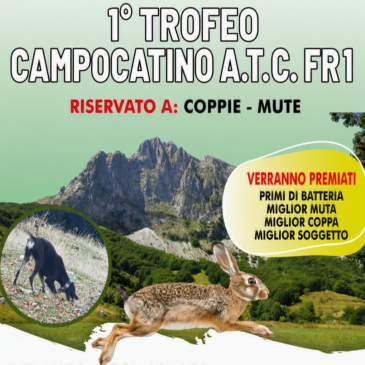 Passione e tradizione a Campocatino: la sfida dei cani da seguita su lepre